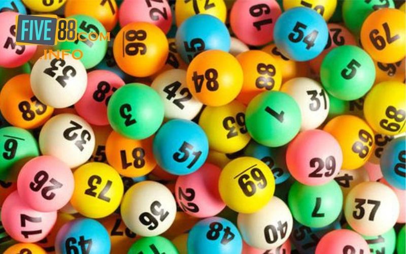 Top những câu hỏi thường gặp tại vòng cược nhà cái