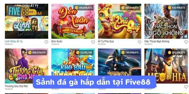 Sảnh đá gà hấp dẫn tại Five88 